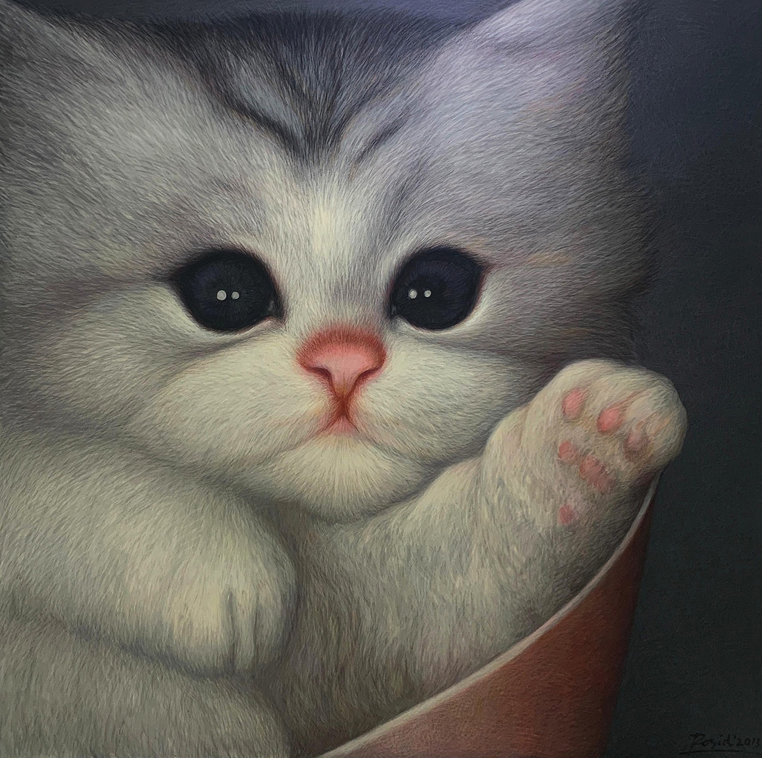 Anak Kucing