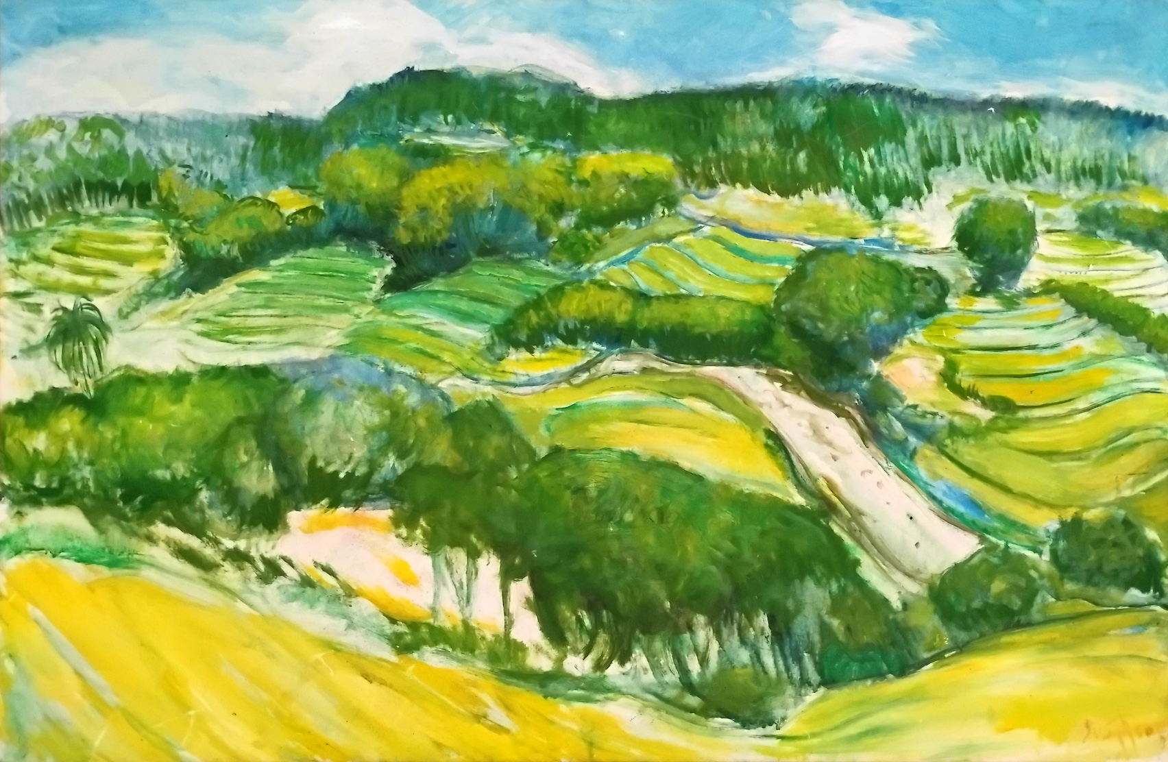Valley Landscape