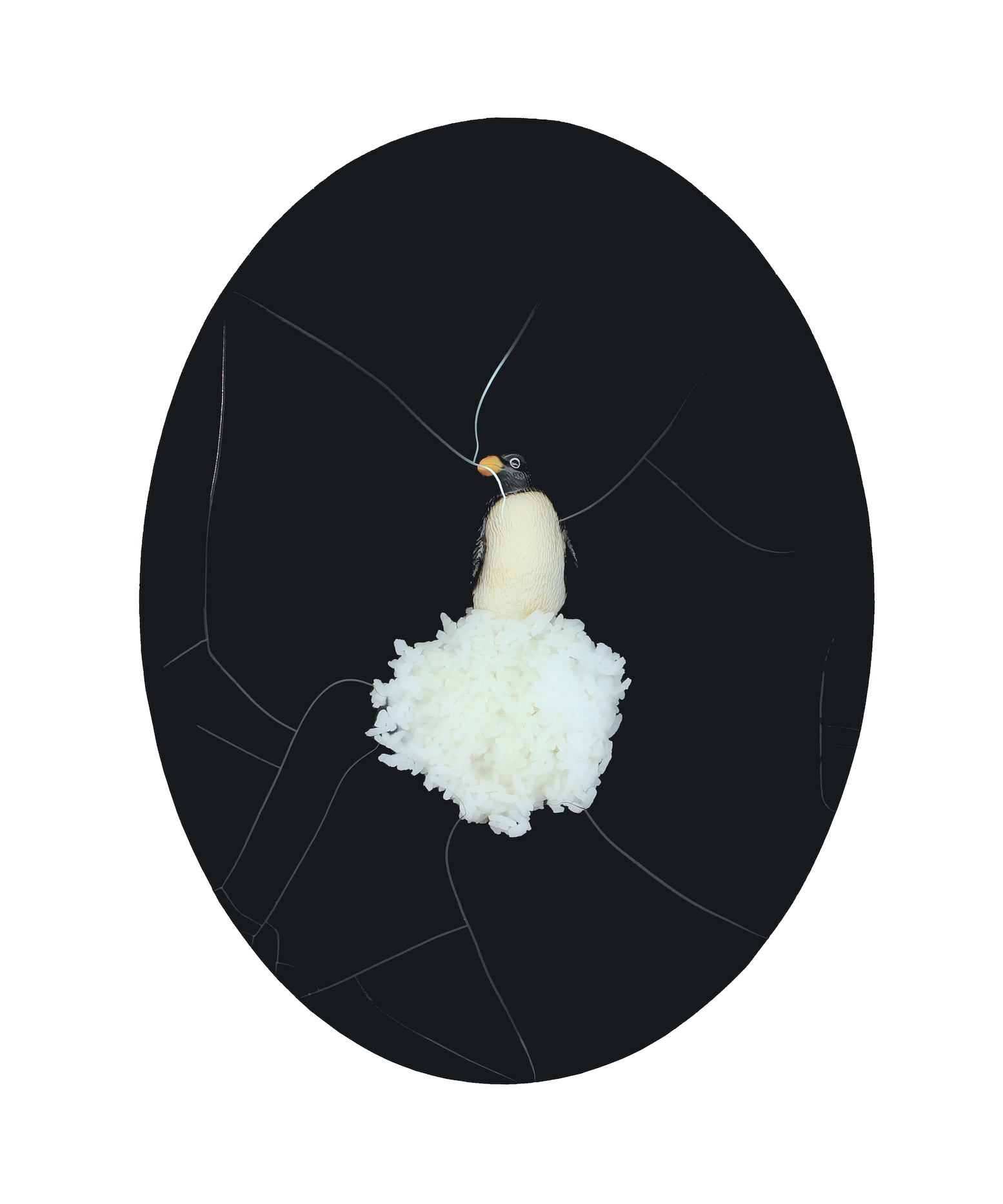The Penguin